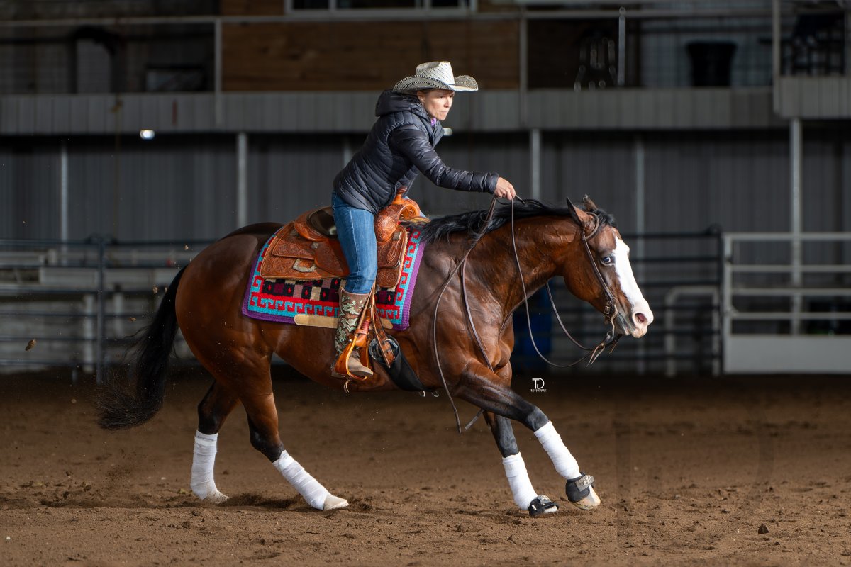 ROUTE66SLIDE_268_Traci L Davenport_Gotta Flash My Spook_NOV HORSE_Sun_131_15_TDP06171.jpg